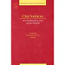 Clay Surfaces: Fundamentals and Applications