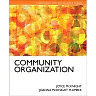 Community Organizing: Theory and Practice, 1st Edition
