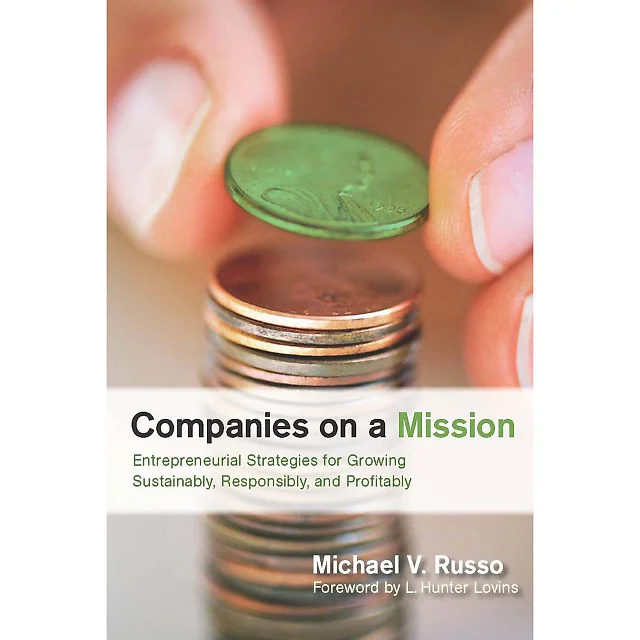 Companies on a Mission: Entrepreneurial Strategies for Growing Sustainably Responsibly and Profitably