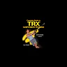 Complete Guide to TRX Suspension Training