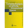 Complex Analysis on Infinite Dimensional Spaces