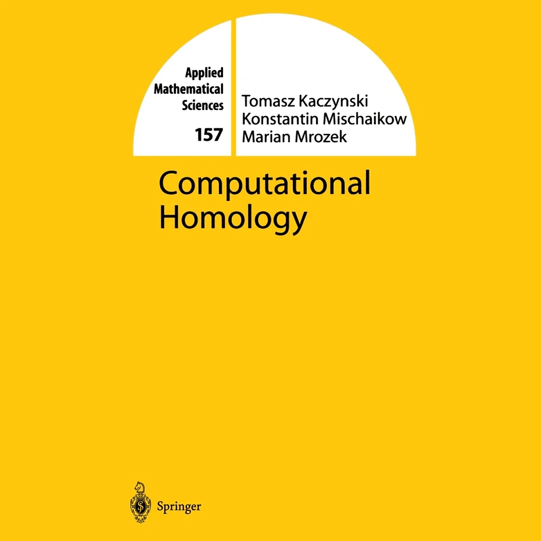 Computational Homology