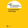 Computational Homology