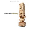Consumer Behavior 2nd Edition