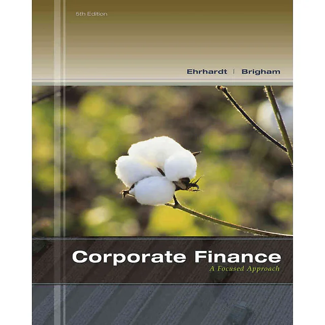 Corporate Finance: A Focused Approach 5th Edition