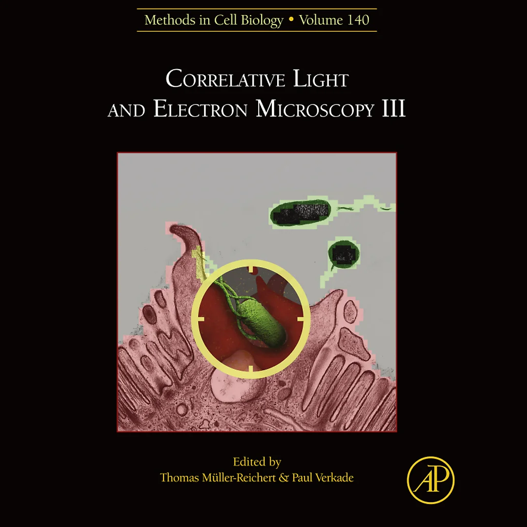 Correlative Light and Electron Microscopy III