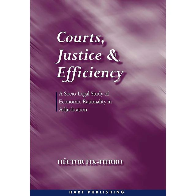 Courts, Justice, and Efficiency: A Socio-legal Study of Economic Rationality in Adjudication