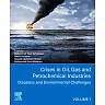Crises in Oil, Gas and Petrochemical Industries: Disasters And Environmental Challenges