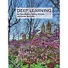 Deep Learning (Adaptive Computation and Machine Learning series)