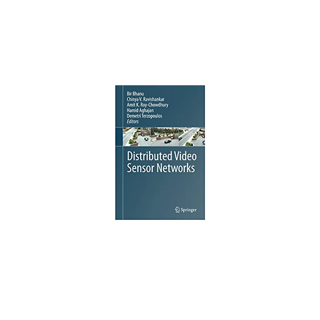 Distributed Video Sensor Networks