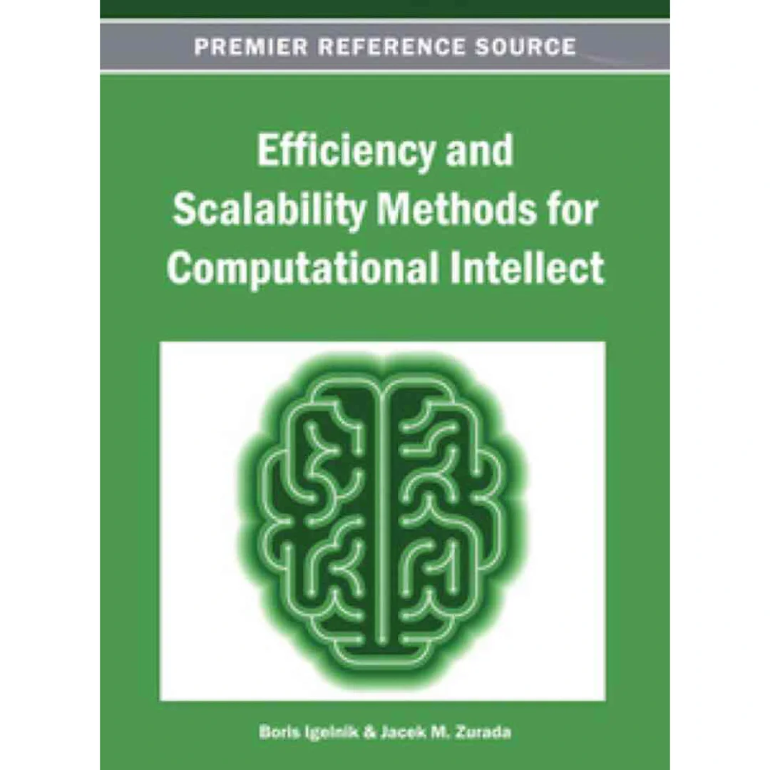Efficiency and Scalability Methods for Computational Intellect