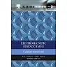 Electromagnetic Surface Waves: A Modern Perspective