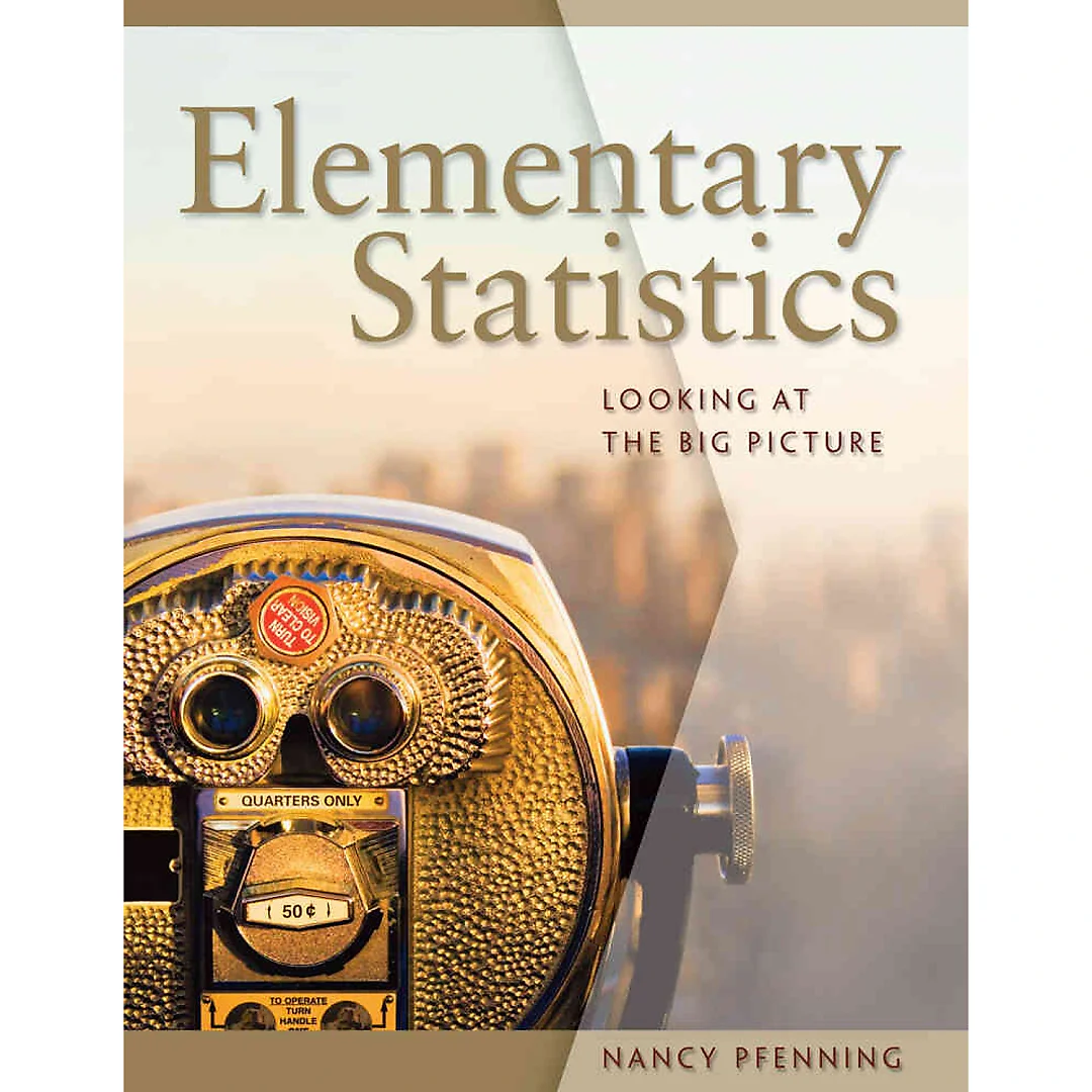 Elementary Statistics: Looking at the Big Picture 1st Edition
