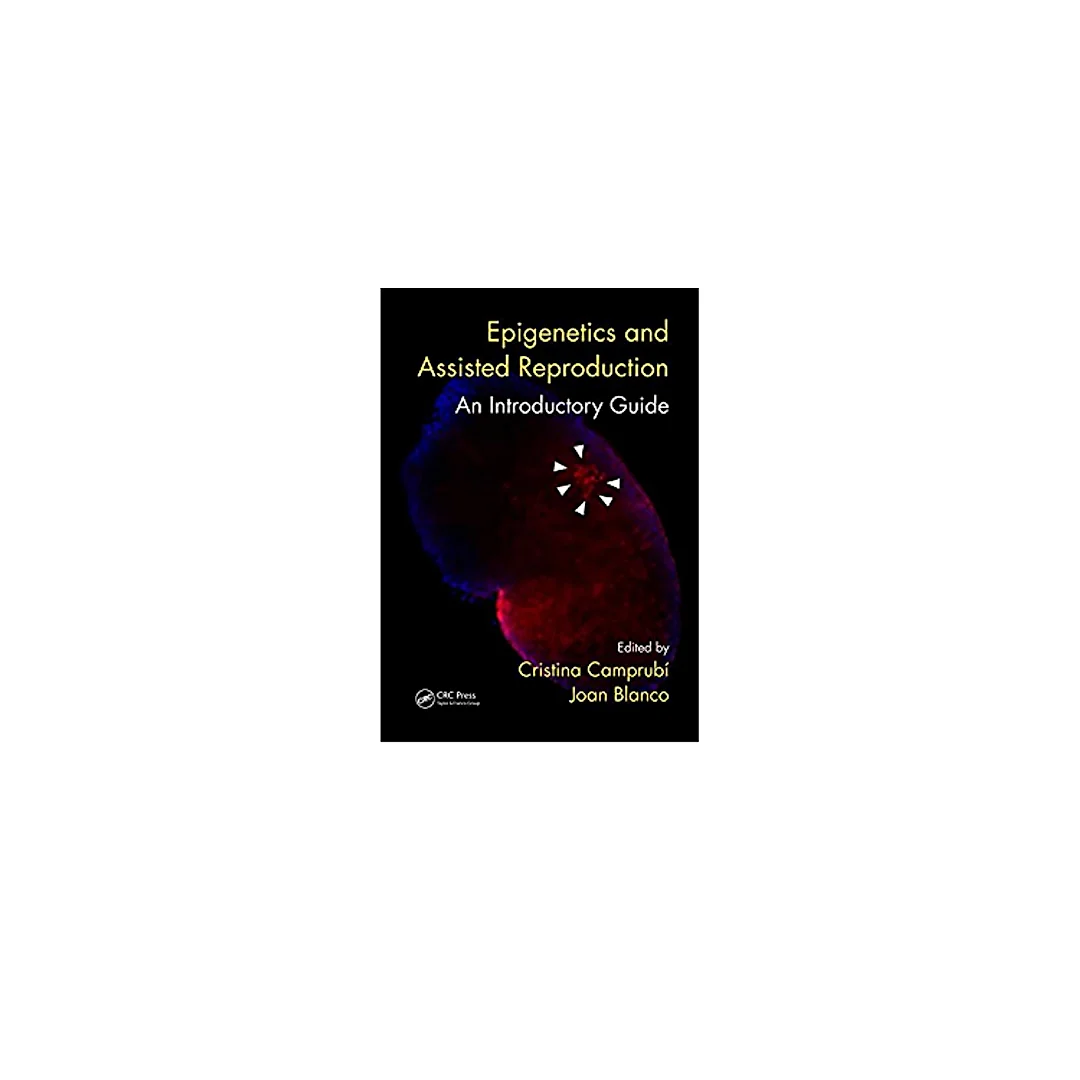 Epigenetics and Assisted Reproduction: An Introductory Guide
