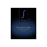 Essential Calculus Early Transcendentals 2nd by James Stewart