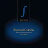 Essential Calculus: Early Transcendentals 2nd Edition