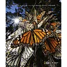 Essentials of Ecology 7th Edition