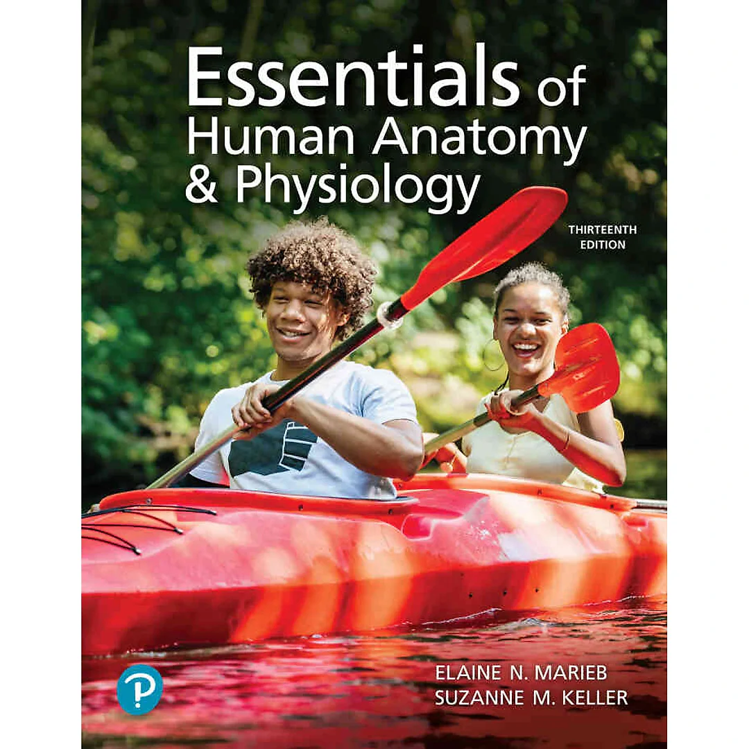 Essentials of Human Anatomy &amp; Physiology, 13th Edition
