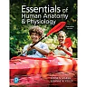 Essentials of Human Anatomy & Physiology, 13th Edition
