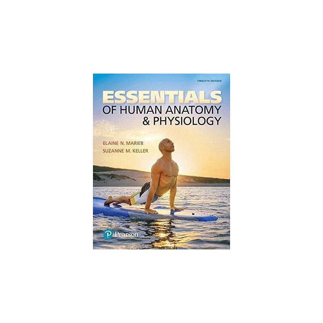 Essentials Of Human Anatomy Physiology 12Th Edition