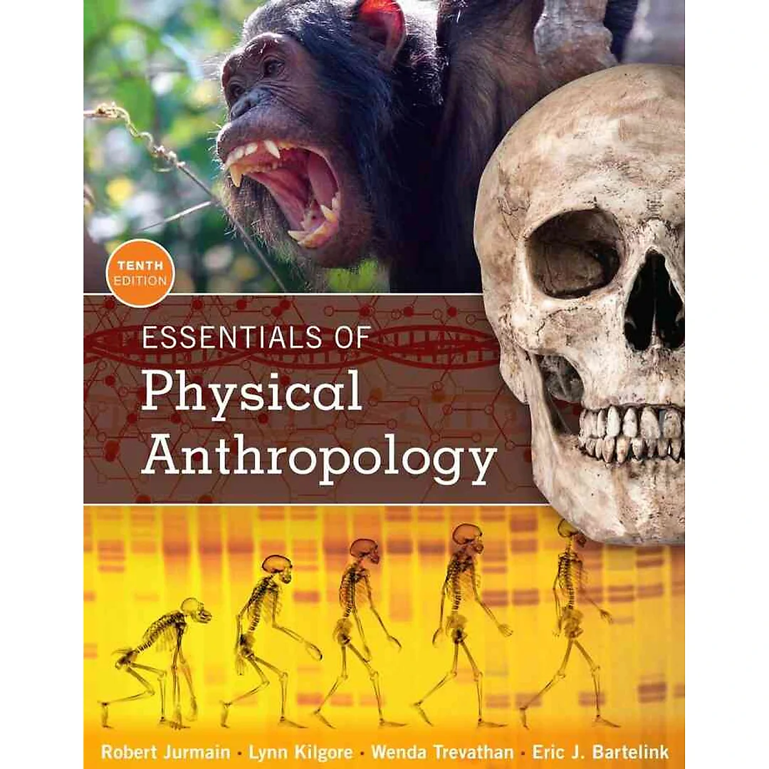 Essentials of Physical Anthropology 10th Edition