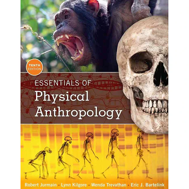 Essentials of Physical Anthropology 10th Edition