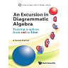 Excursion In Diagrammatic Algebra An: Turning A Sphere From Red To Blue: Turning a Sphere from Red to Blue