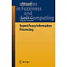 Expert Fuzzy Information Processing