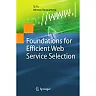Foundations for Efficient Web Service Selection
