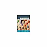 Fundamentals of Management 7th edition By Ricky W.Griffin