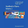 Handbook of Burns Volume 2: Reconstruction and Rehabilitation