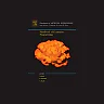 Handbook of Constraint Programming