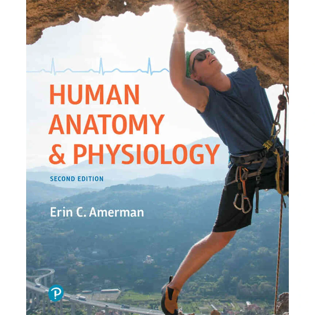 Human Anatomy & Physiology, 2nd Edition