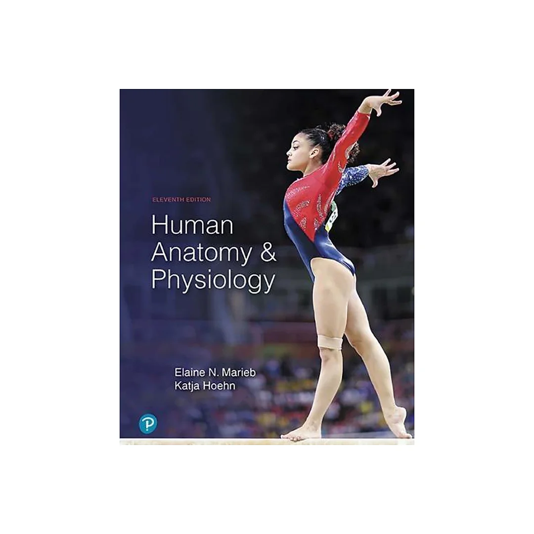 Human Anatomy And Physiology 11Th Edition