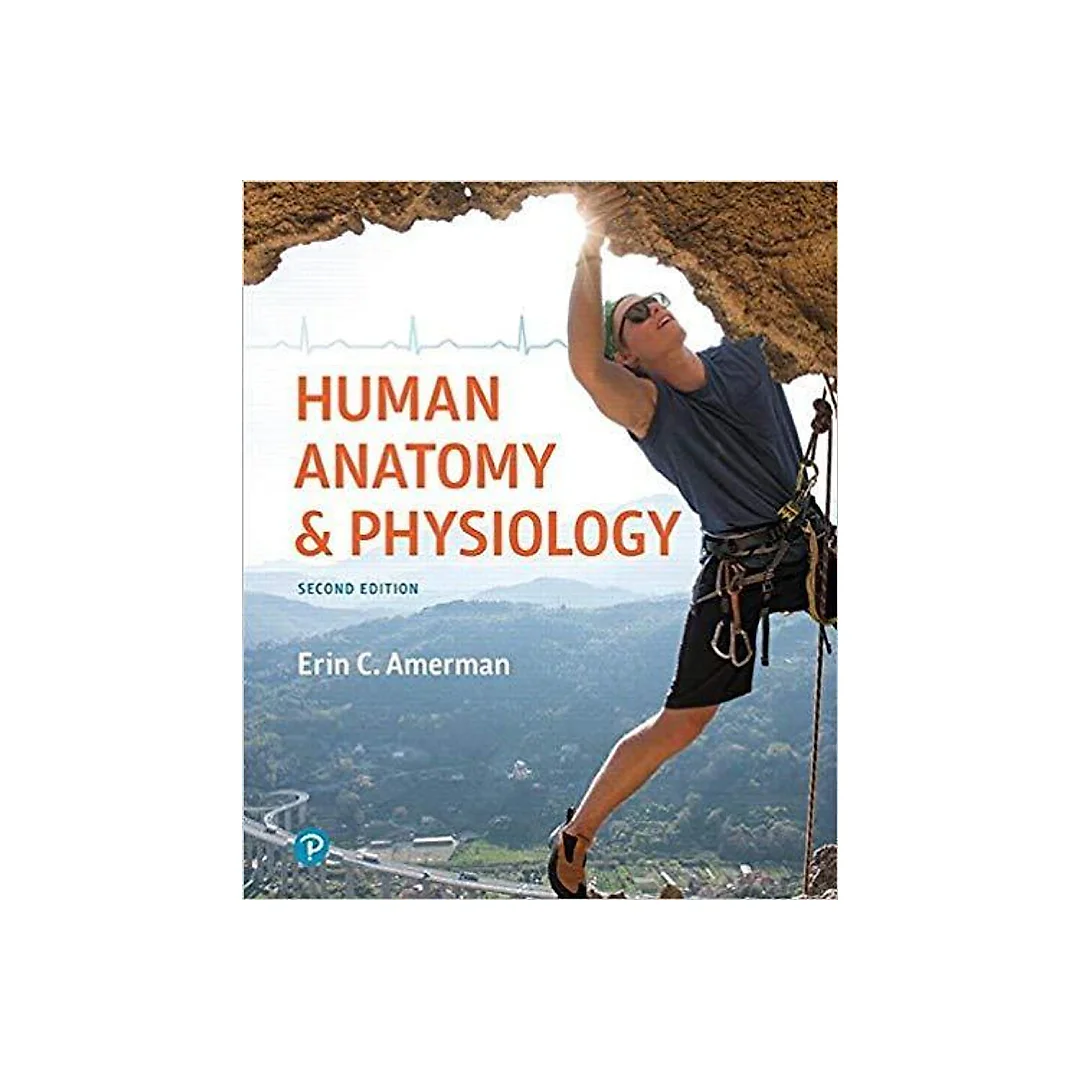 Human Anatomy & Physiology 2nd Edition by Erin C. Amerman