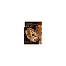 Human Reproductive Biology