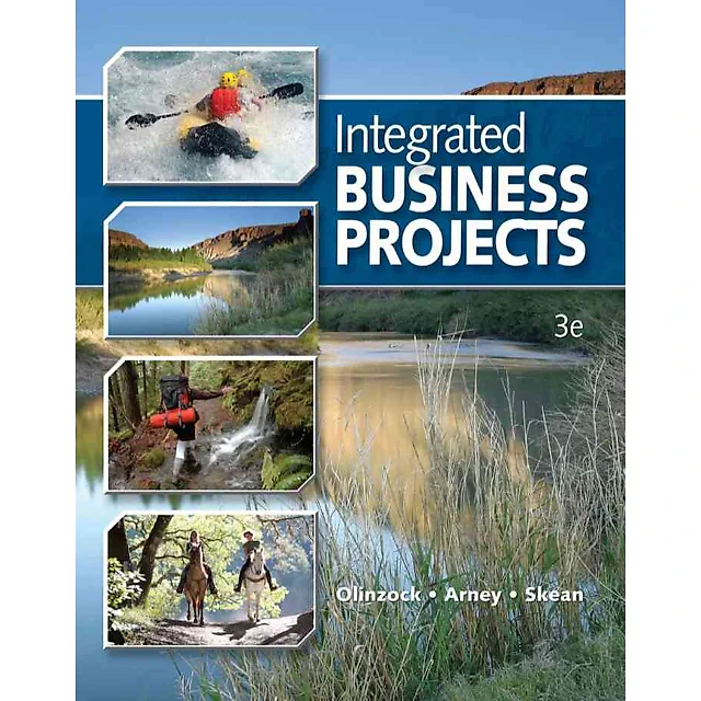 Integrated Business Projects 3rd Edition