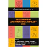 Intelligence Of Low Dimensional Topology 2006