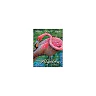 Intermediate Algebra 3rd Edition by Julie Miller