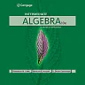 Intermediate Algebra: A Guided Approach 10th Edition