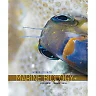 Introduction to Marine Biology 4th Edition