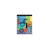 Introduction to Sociology (Ninth Edition) 9th by Anthony Giddens