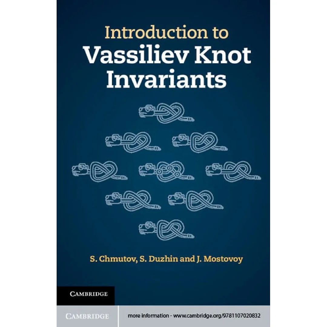Introduction to Vassiliev Knot Invariants