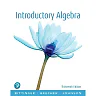 Introductory Algebra, 13th Edition