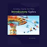 Introductory Algebra: Everyday Explorations 5th Edition