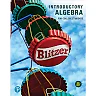 Introductory Algebra for College Students, 8th Edition
