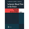Ischemic Blood Flow in the Brain