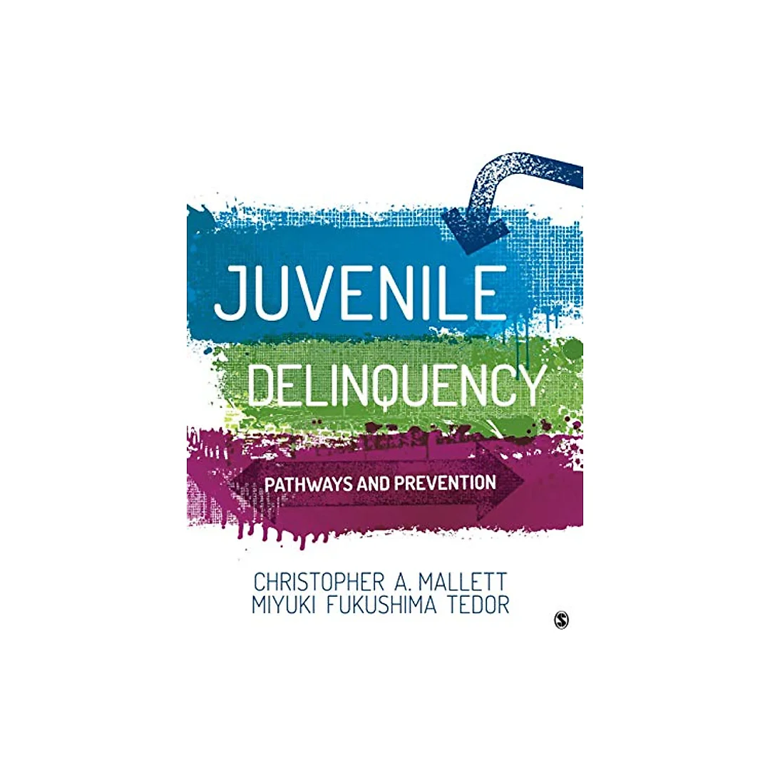 Juvenile Delinquency: Pathways And Prevention