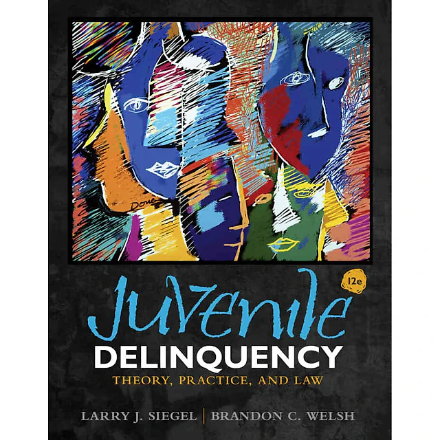 Juvenile Delinquency: Theory Practice and Law 12th Edition