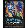Juvenile Delinquency: Theory Practice and Law 12th Edition